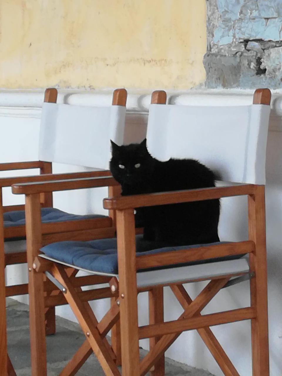 Giunasco بانيوني المظهر الخارجي الصورة